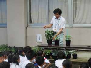 2025年9月11日　小学校スプレーギク教室5